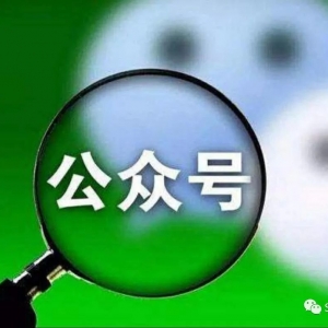 seo优化排名技术,公众号排名技术.