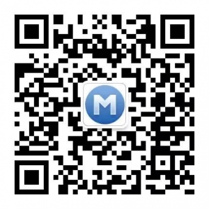 SEO优化操作方案